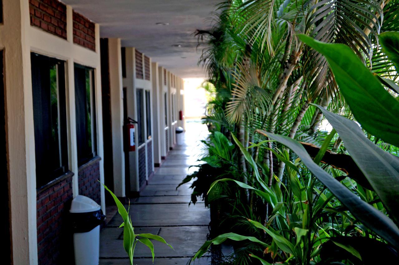 Hotel La Palapa Mazatlán Extérieur photo
